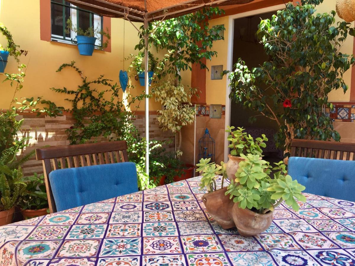 Cool Garden And Suite Mairena del Aljarafe Dış mekan fotoğraf