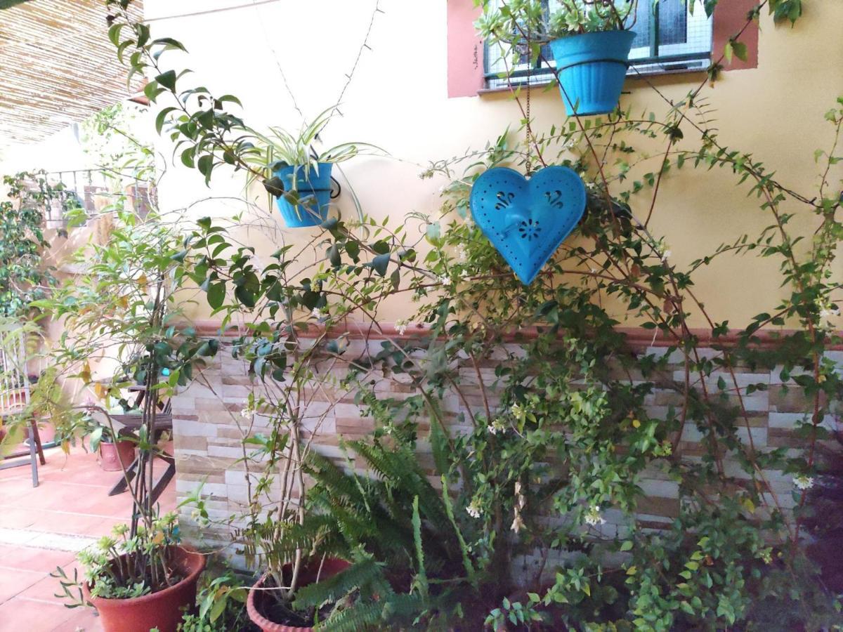 Cool Garden And Suite Mairena del Aljarafe Dış mekan fotoğraf