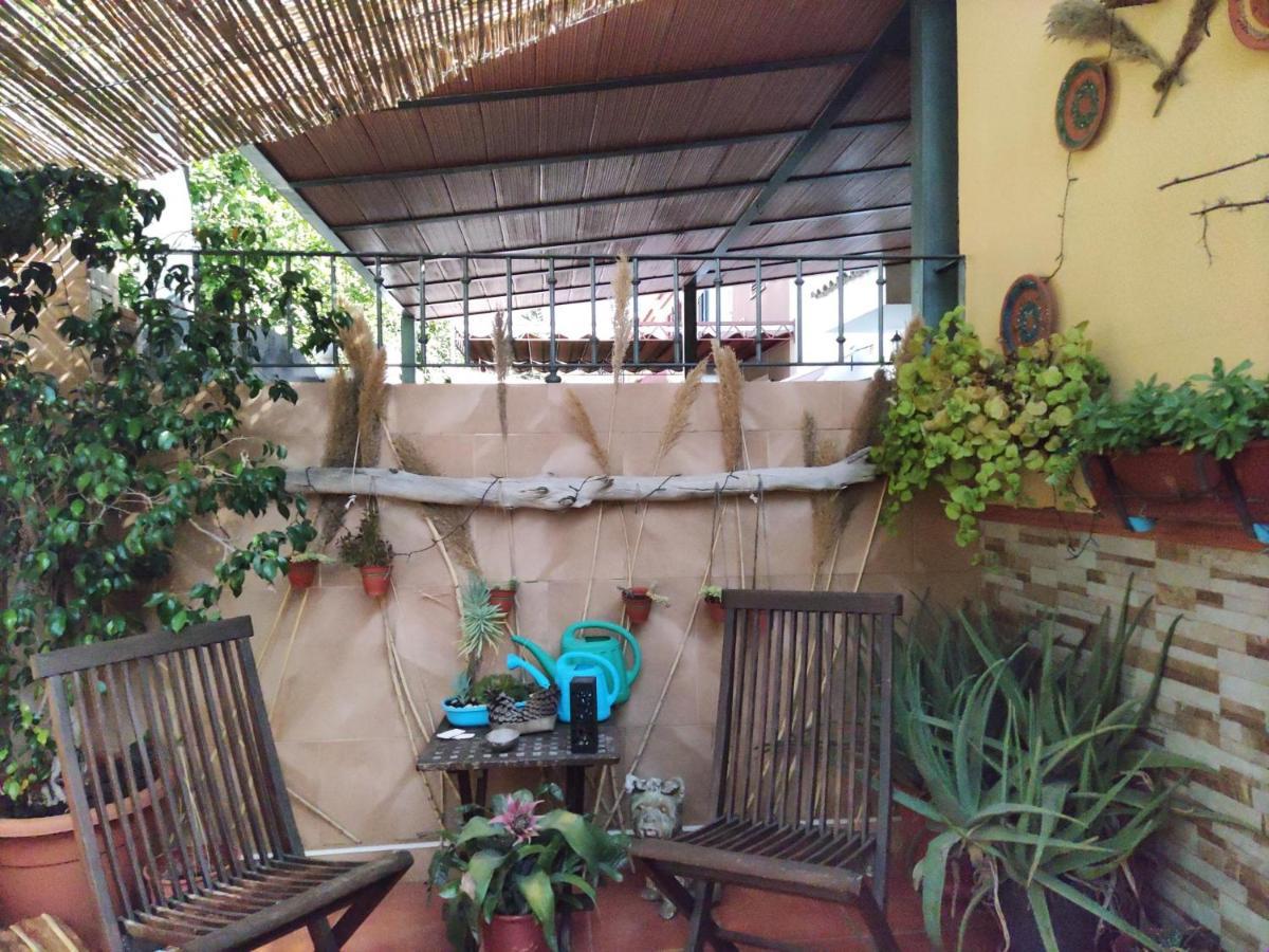 Cool Garden And Suite Mairena del Aljarafe Dış mekan fotoğraf